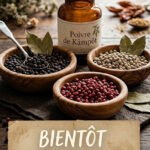 Mise en ligne !